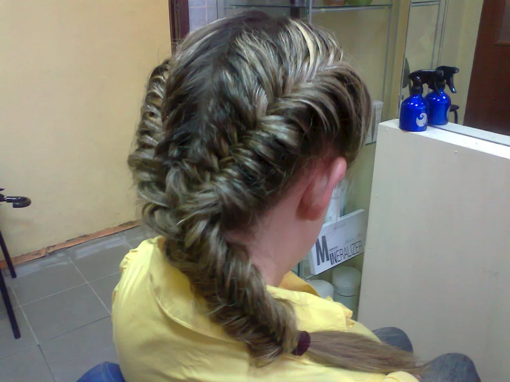 Braid ponytail