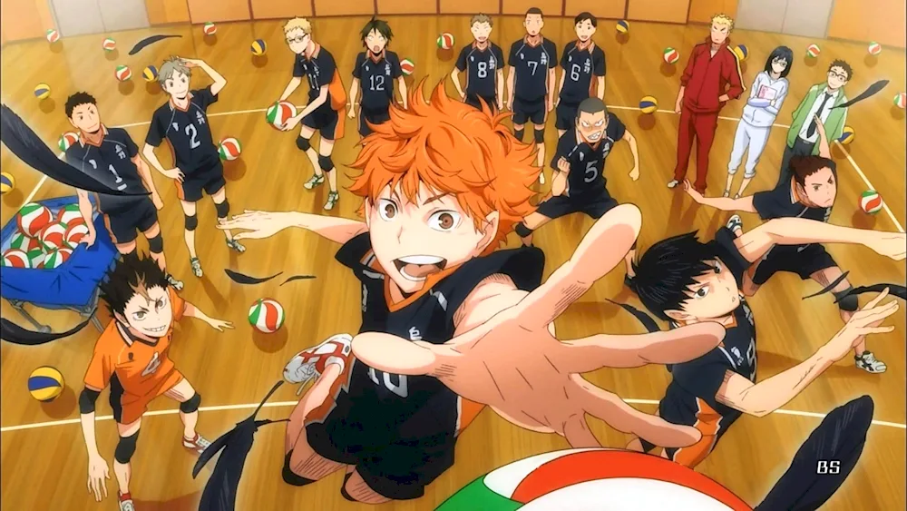 Karasuno team volleyball