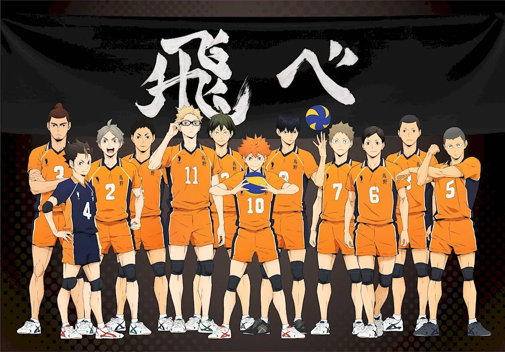 Karasuno anime