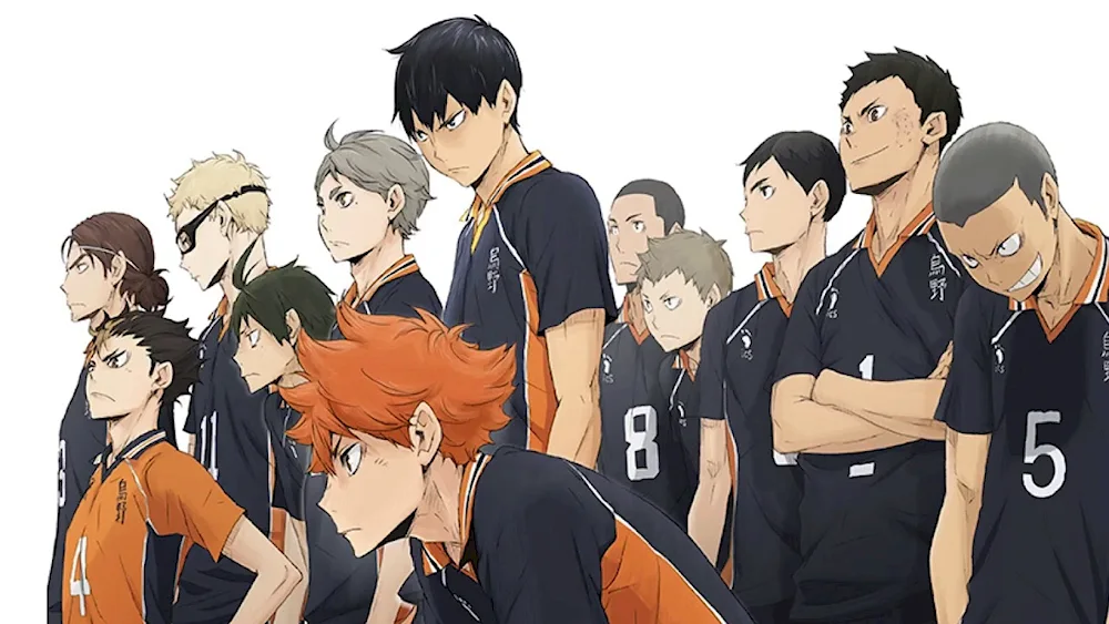 Karasuno volleyball Hinata