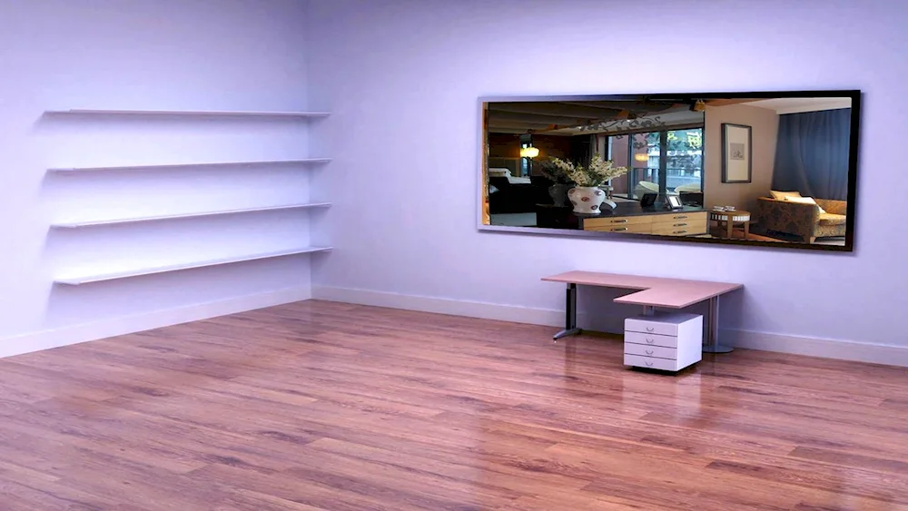 A room with a desk and shelves