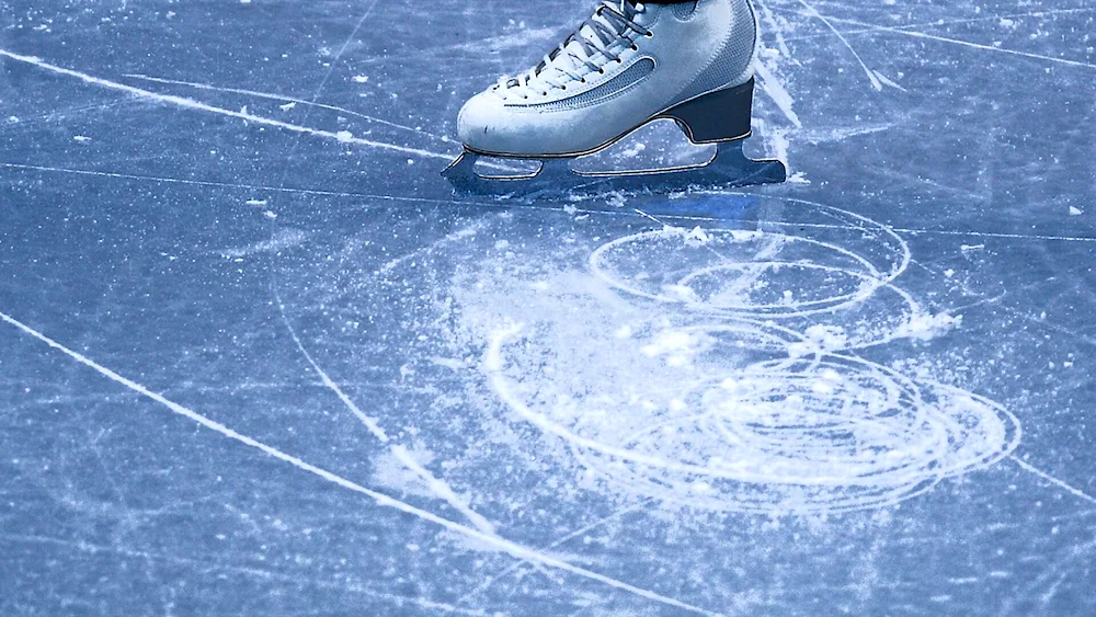 Pair skating on ice