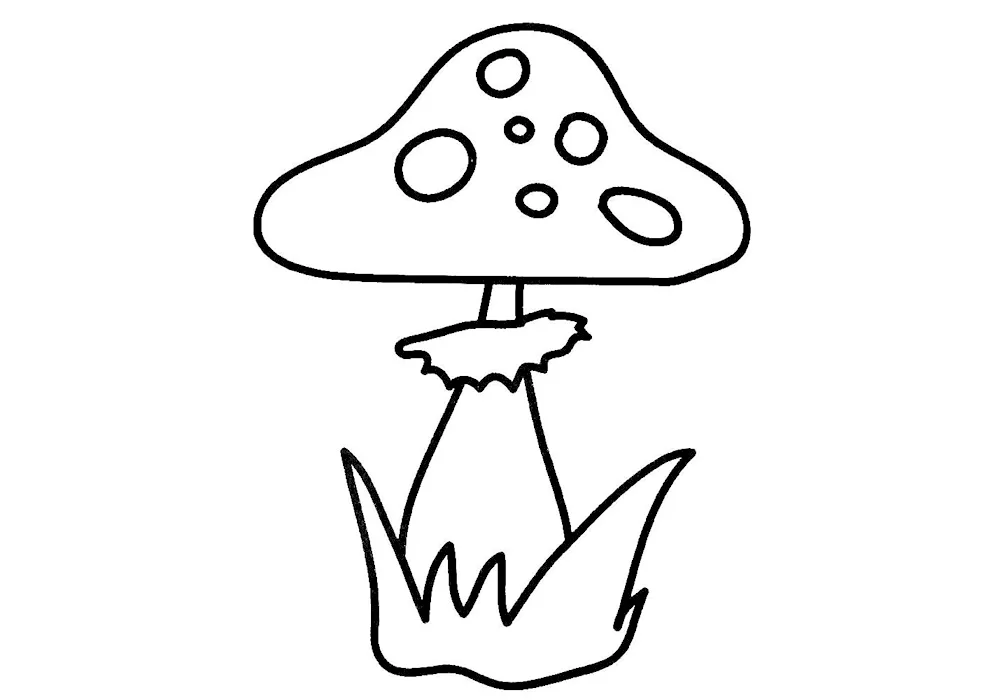 Fly mushroom colouring for kids