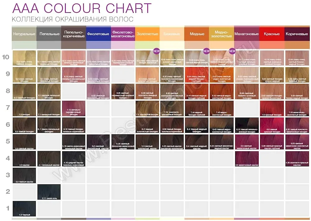 Coral AAA hair dye palette