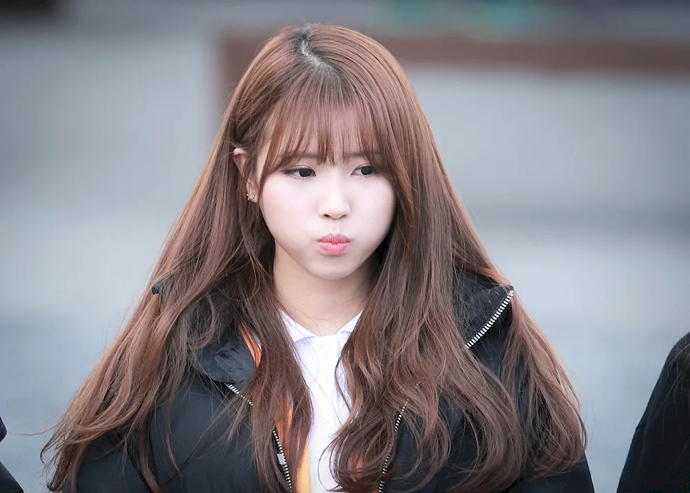 Korean toque
