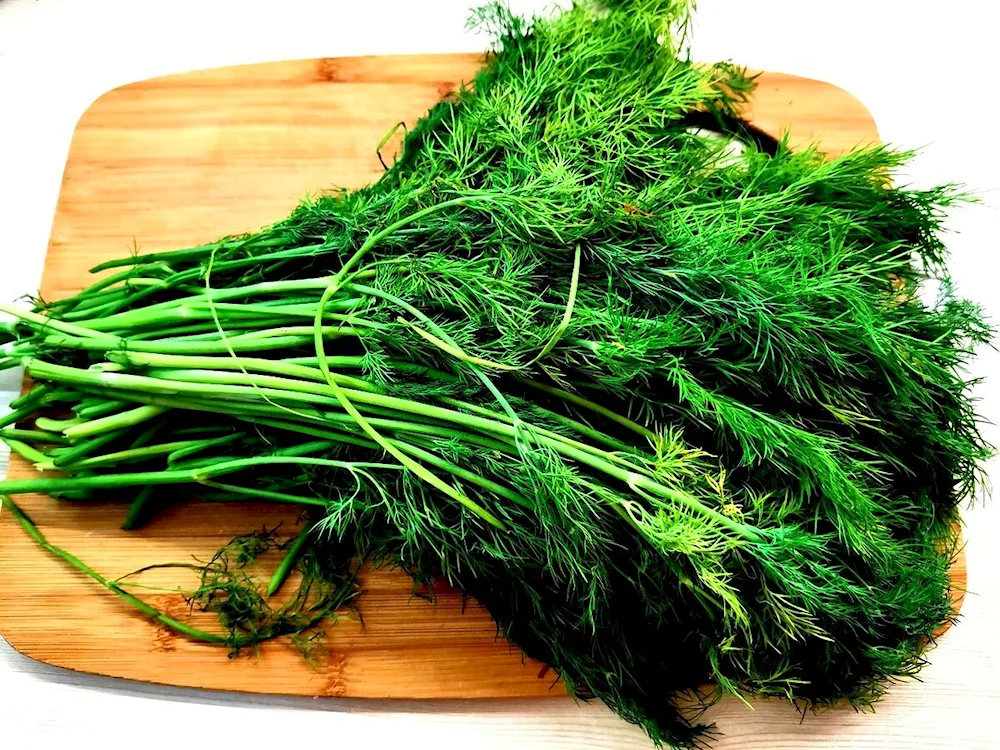 Root dill