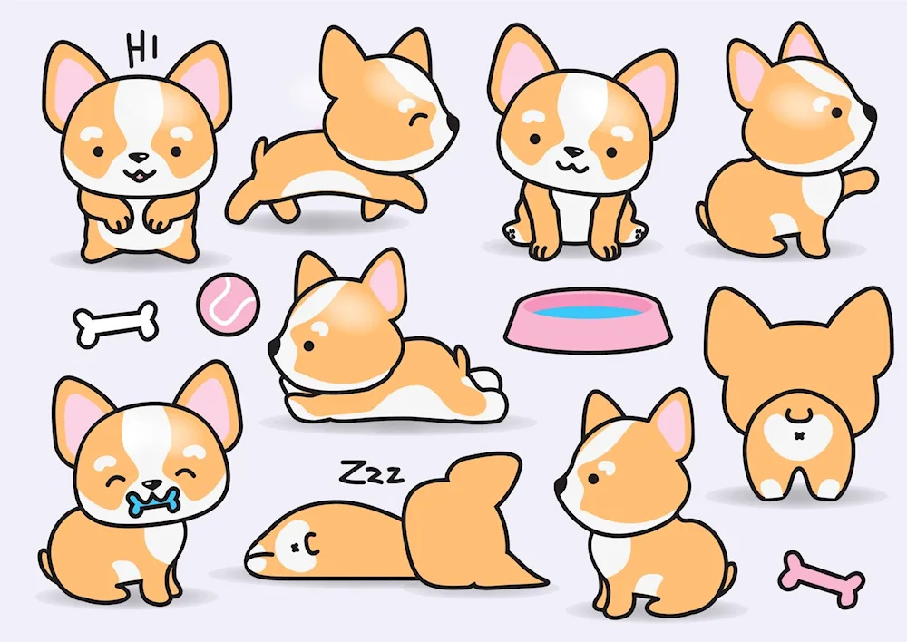 Dog drawing