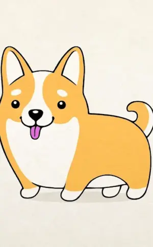 Corgi Pembroke Fluffy