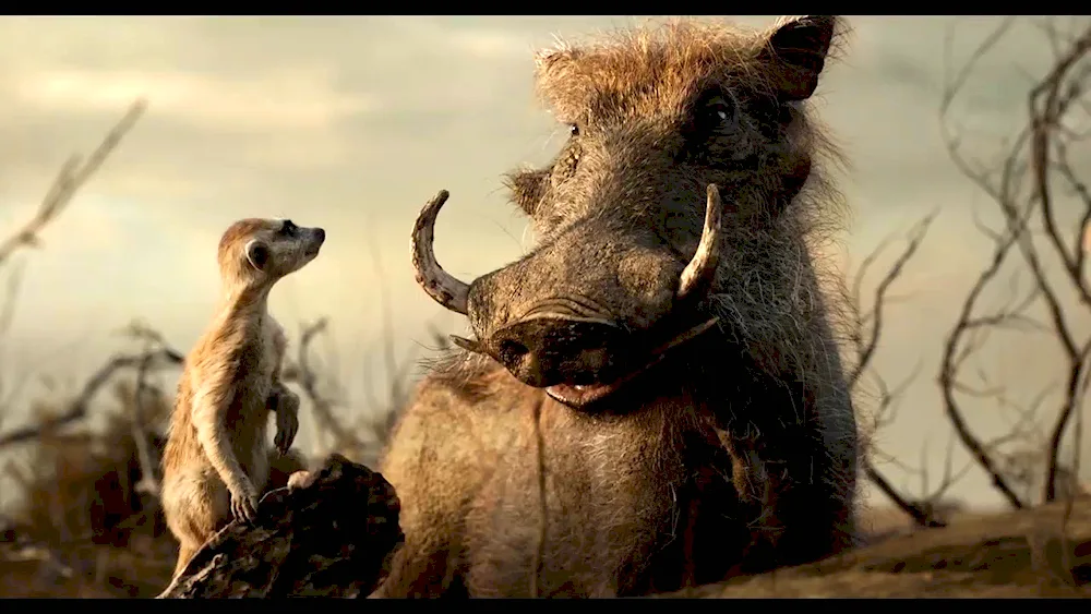 Timon and Pumbaa