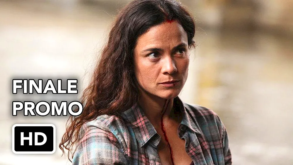 Alice Braga. Braga