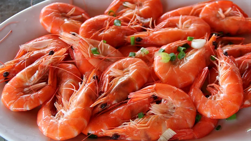 Royal shrimp vs langoustines