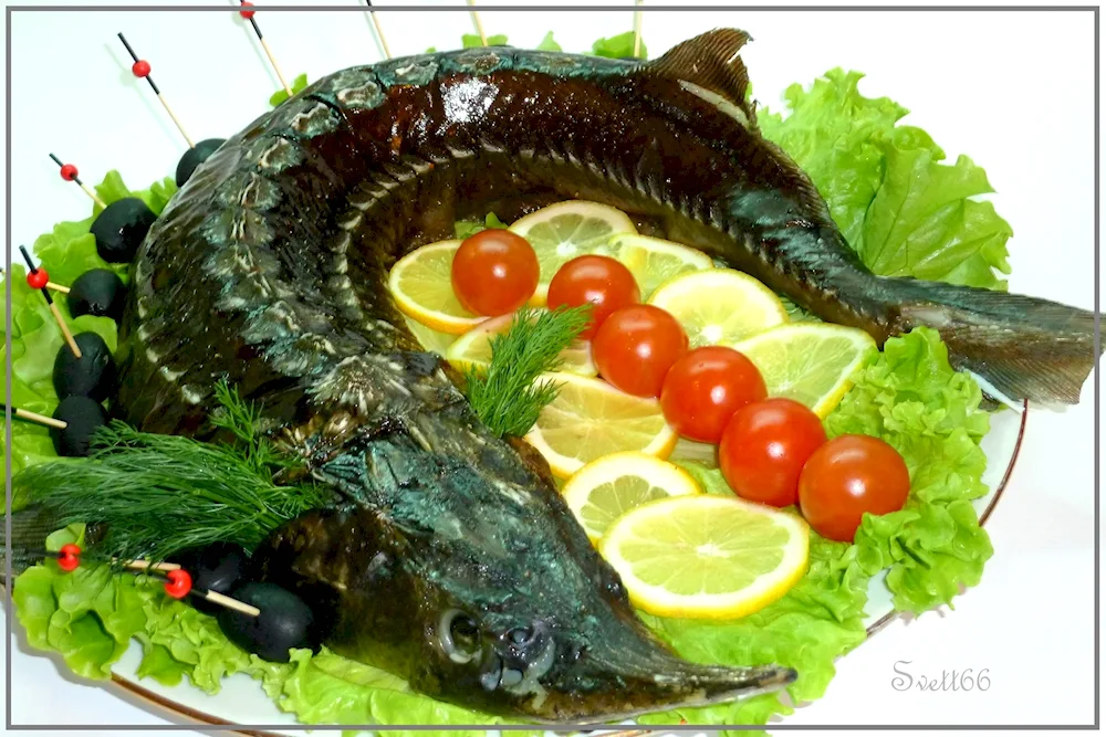 Kutum Liavangi