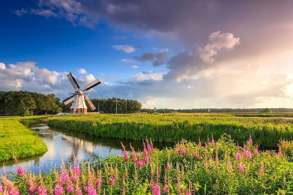 Kingdom of the Netherlands nature