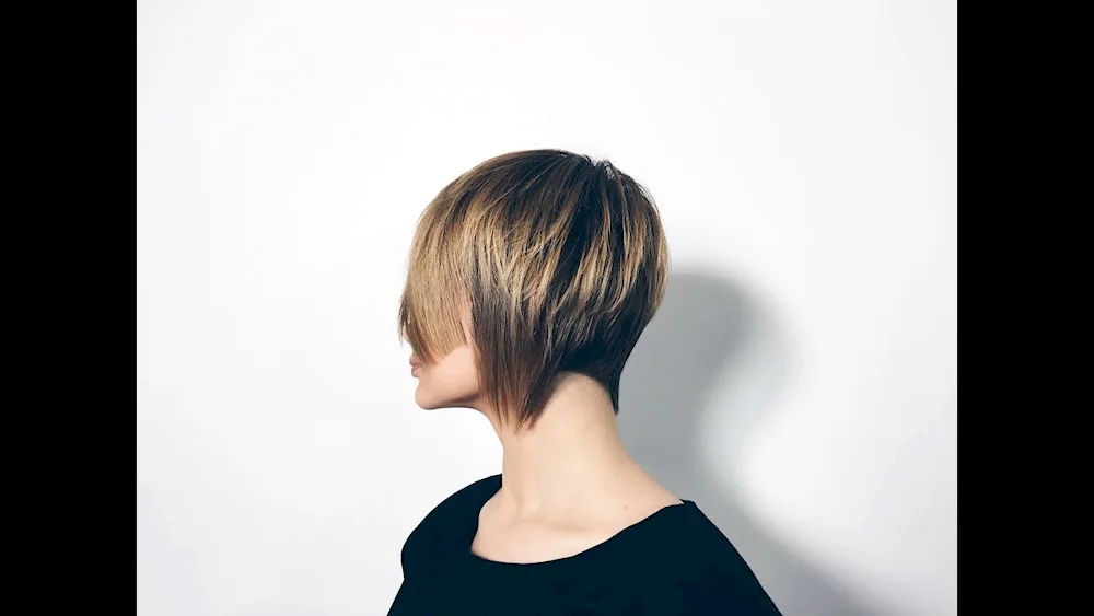Video lessons of the haircut bob