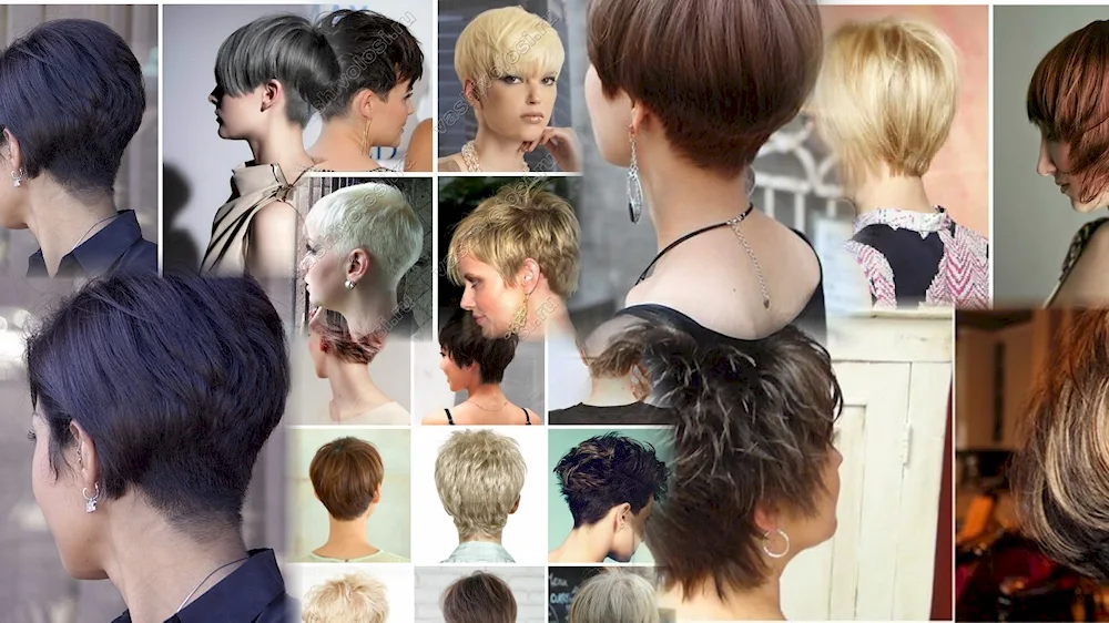 Short back cut for women