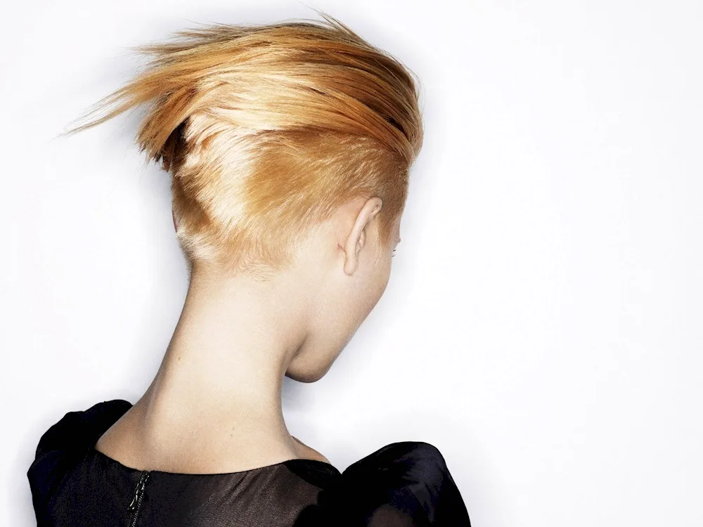 Short haircuts with elongated nape