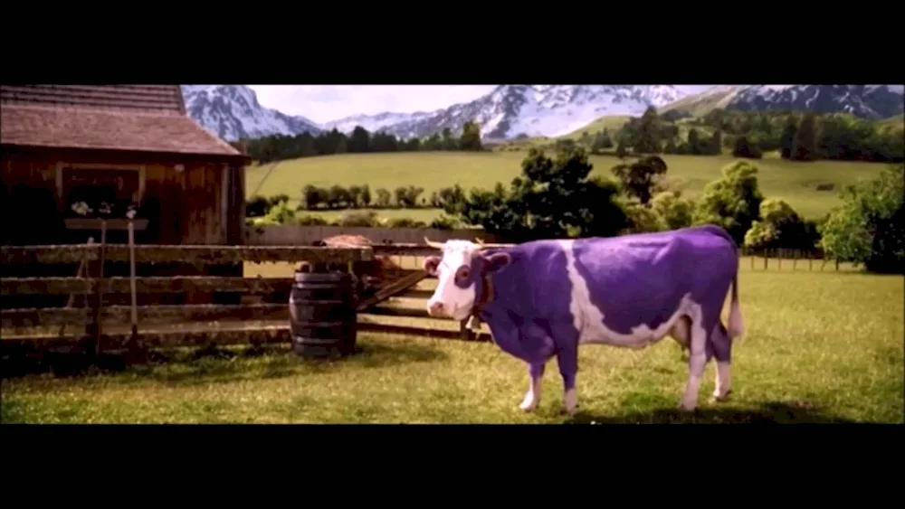 Alpine cow Milka