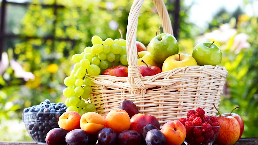 Fruit basket