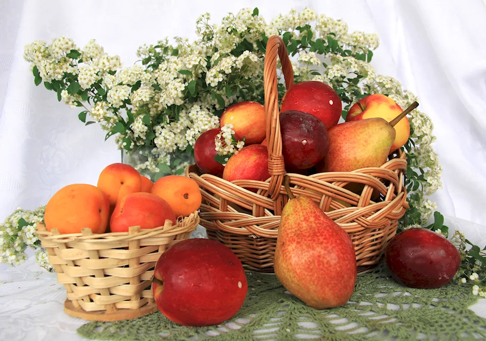 Autumn basket