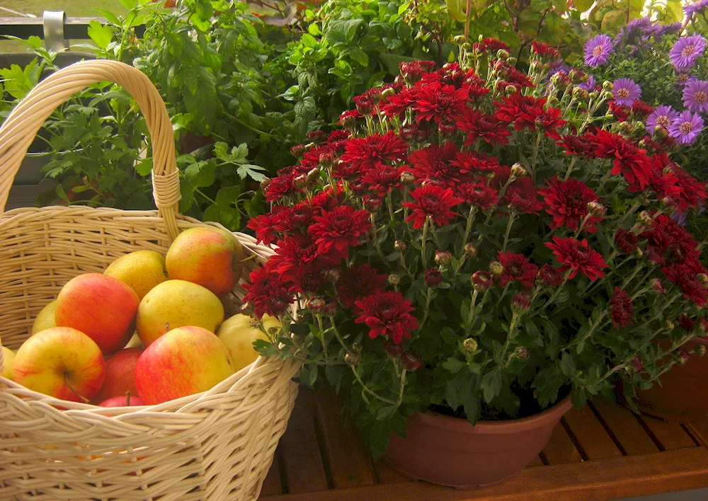 Fruit basket with flowers