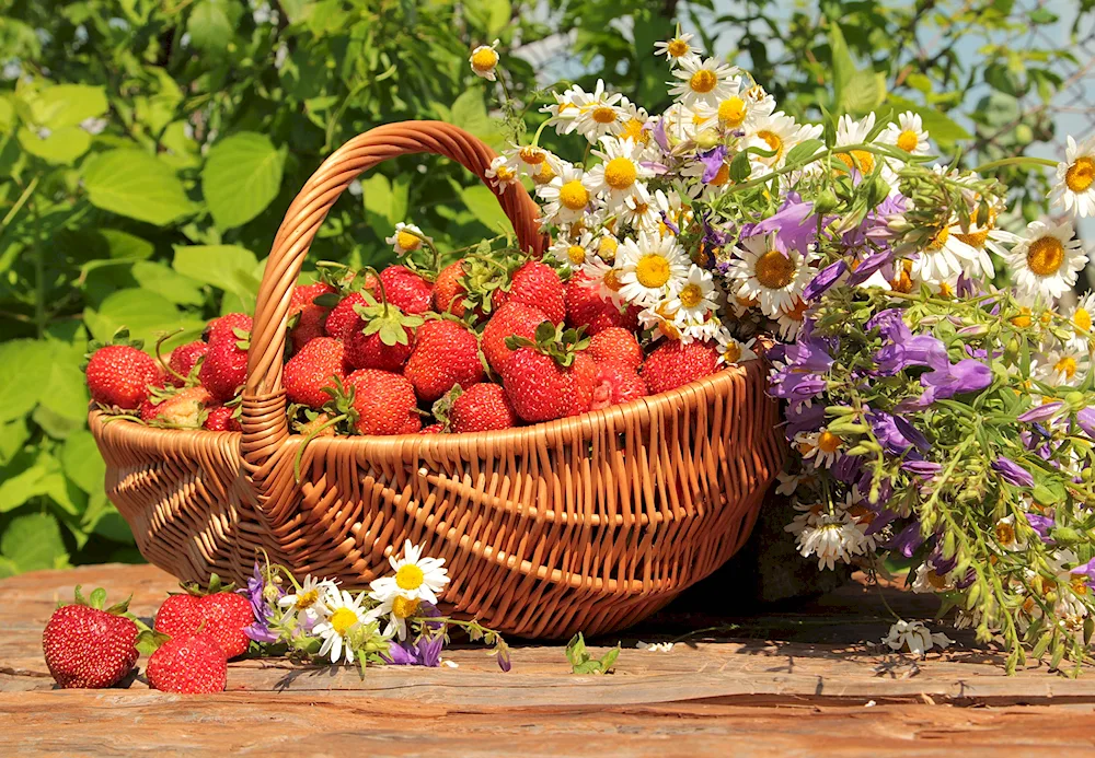 Basket with fruit