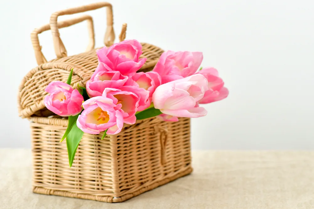 Basket of flowers