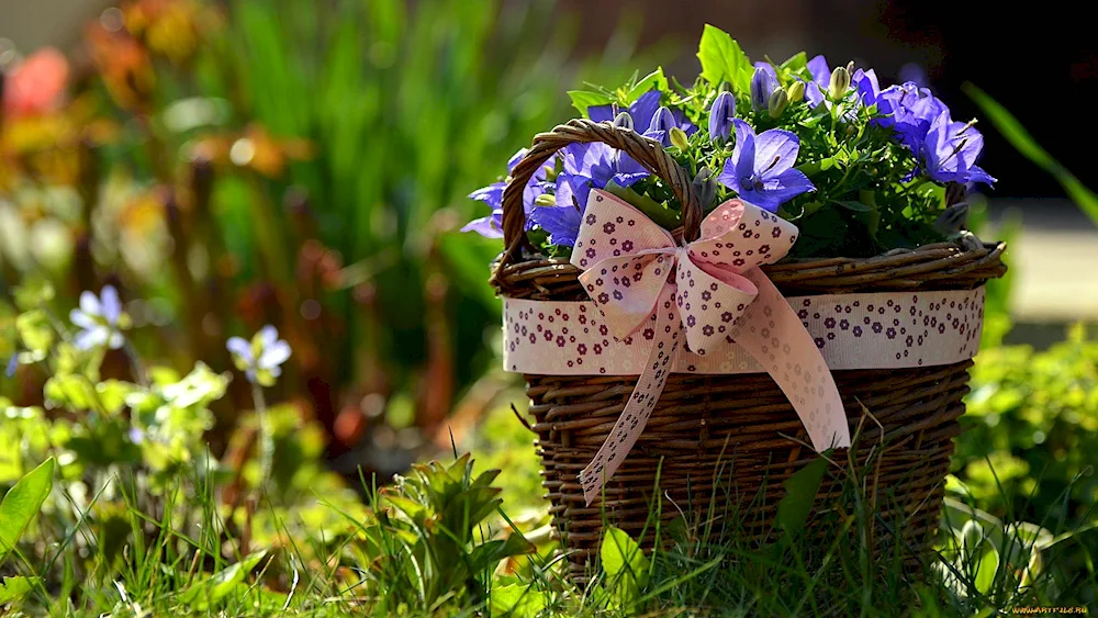 Basket of flowers