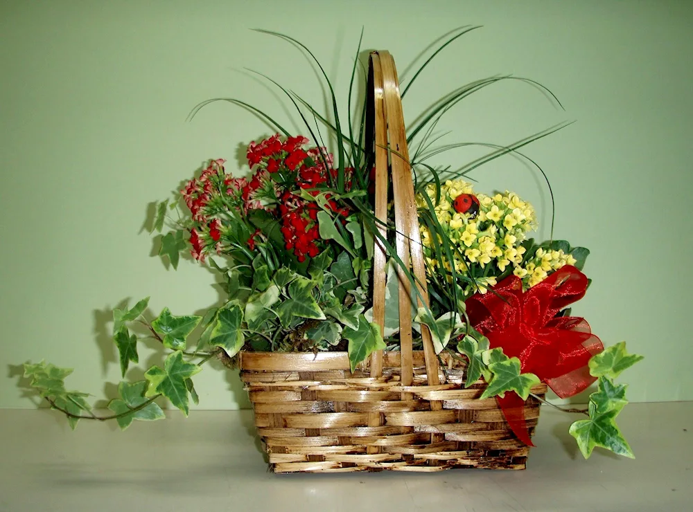 Basket of flowers