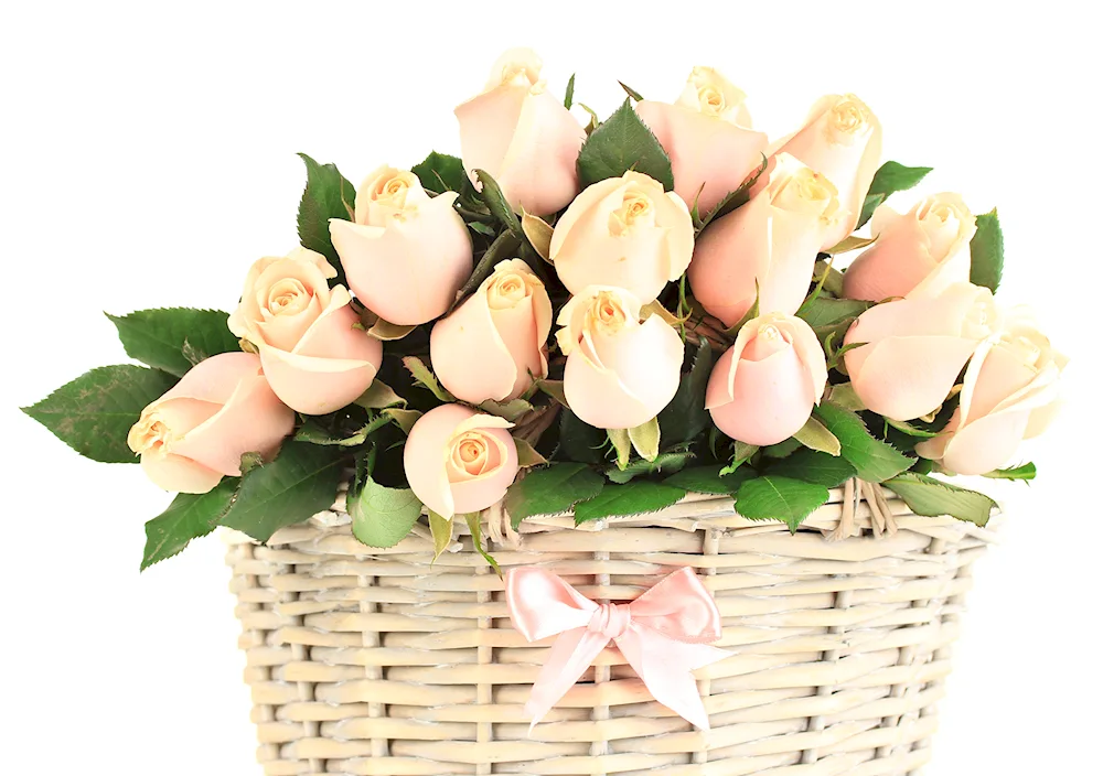 Basket of flowers