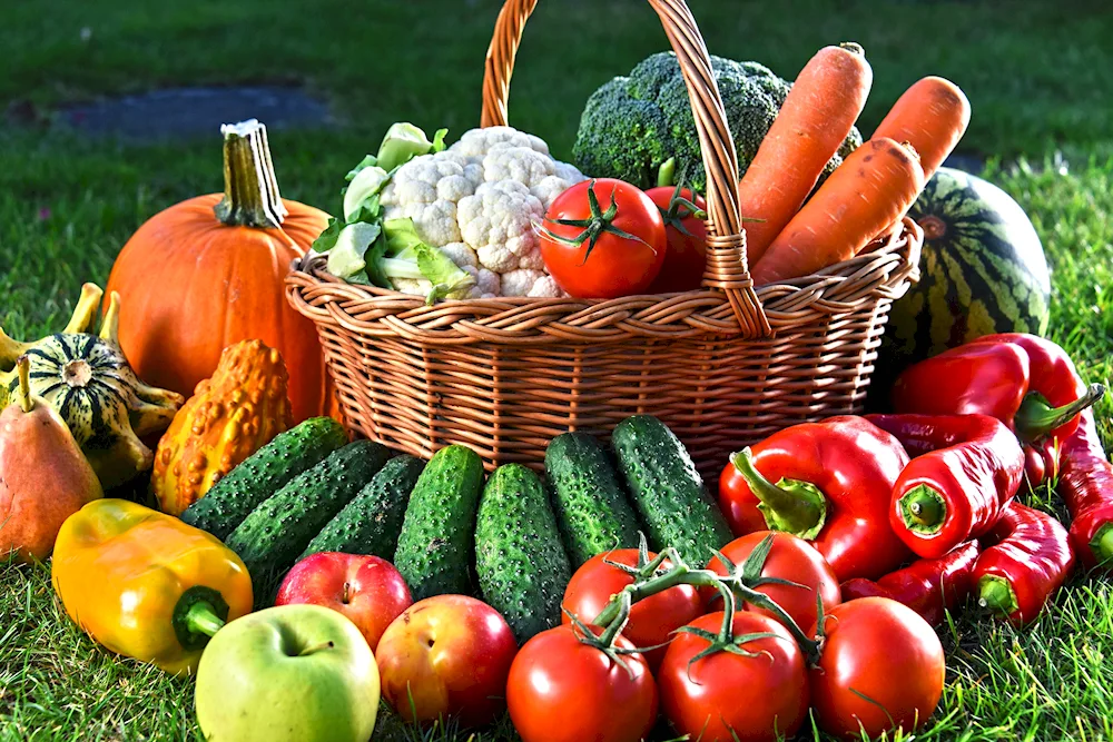 Agricultural fair