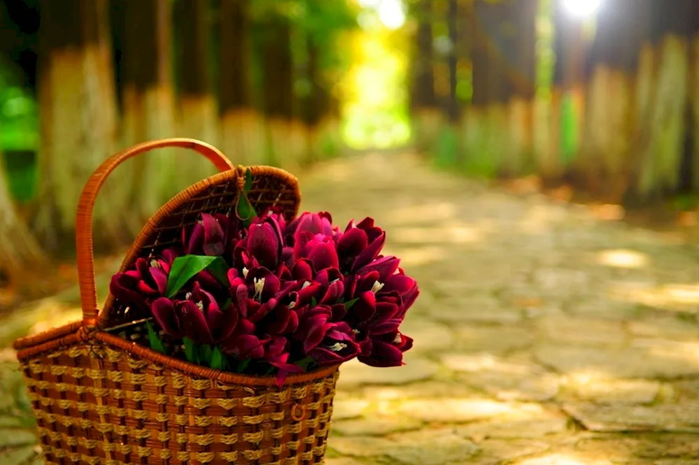 Bouquet in a basket