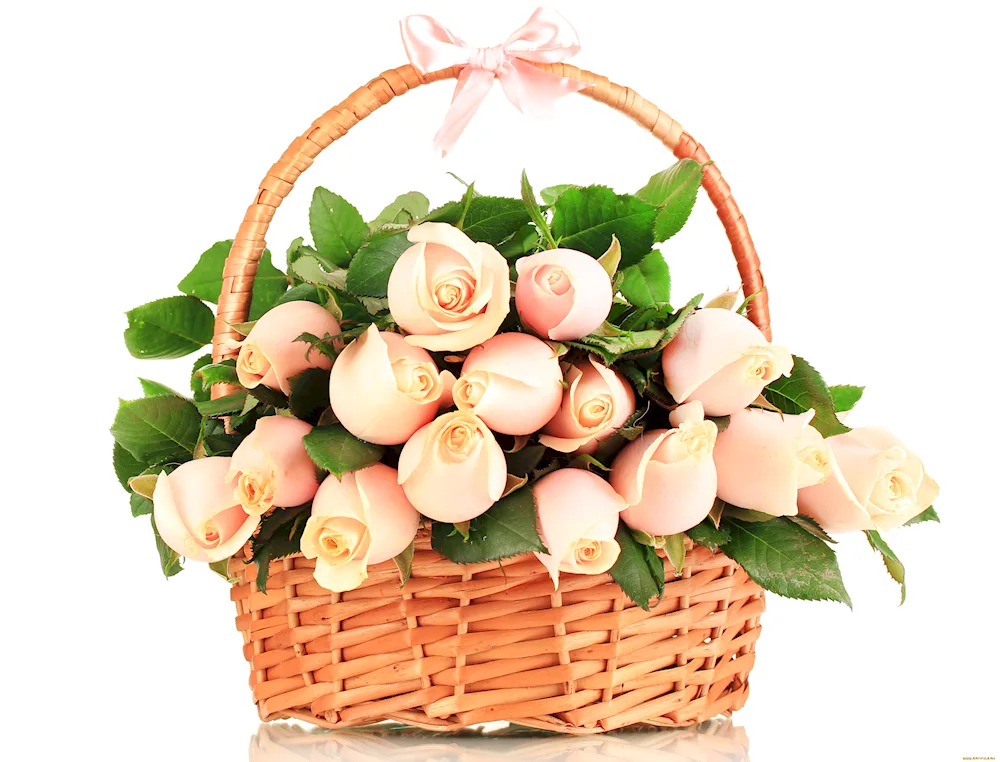 Basket of flowers