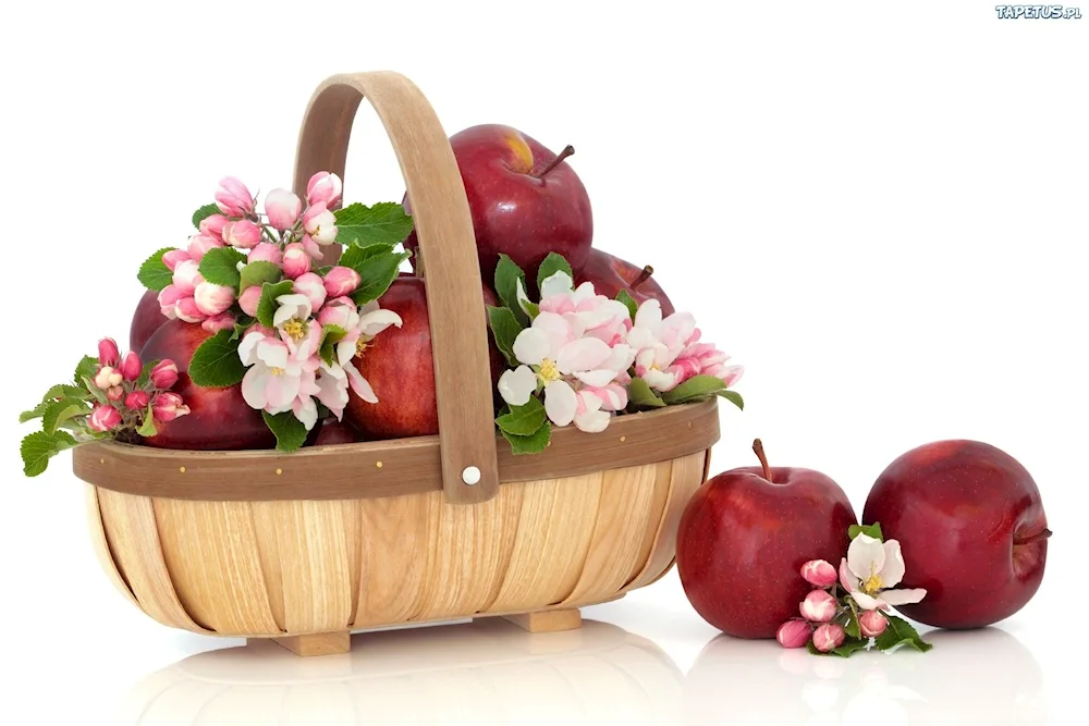 Berry basket