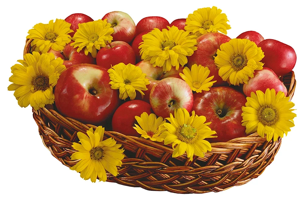 Autumn apples