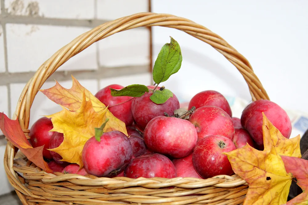 Baskets with apples