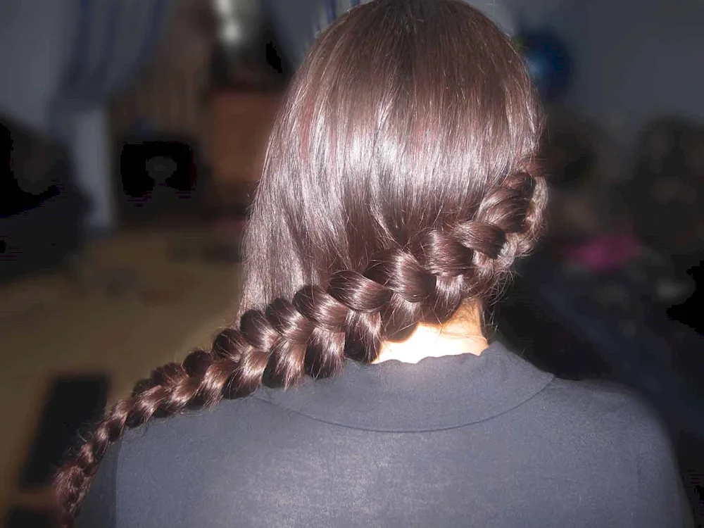 Dragon braid