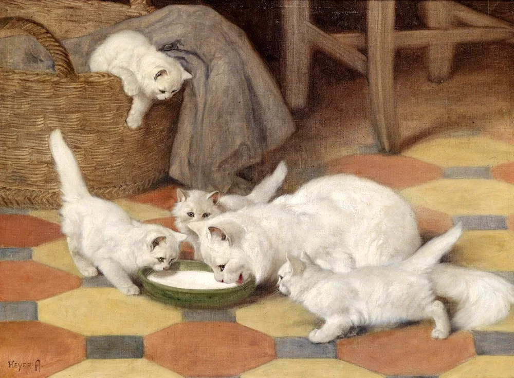 Cats artist Lucy Bilodeau