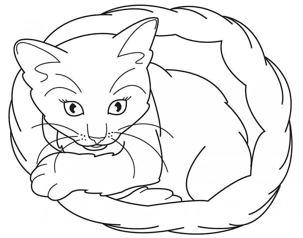 Kitten. Colouring Cats. Colouring