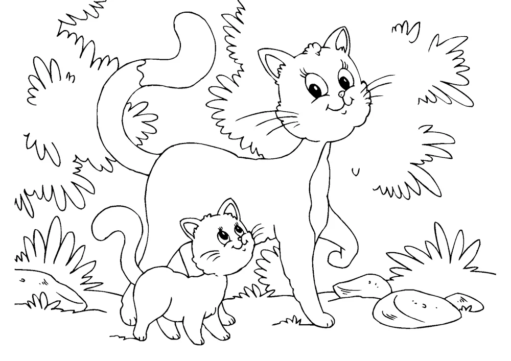 Kitten. Colouring
