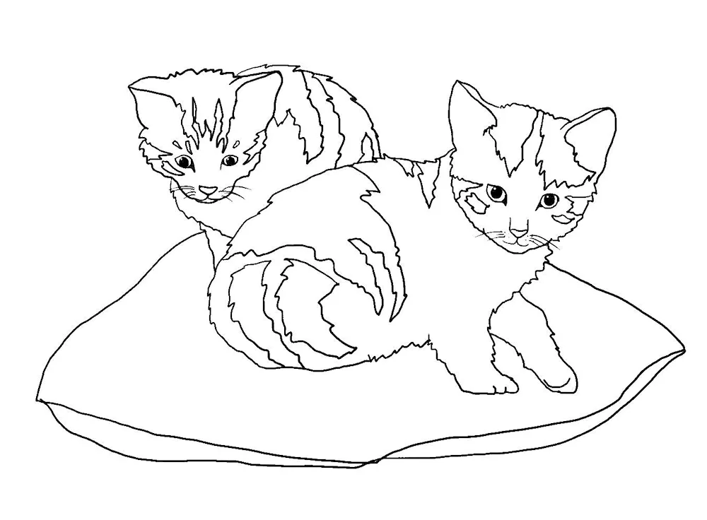 Cats. Colouring