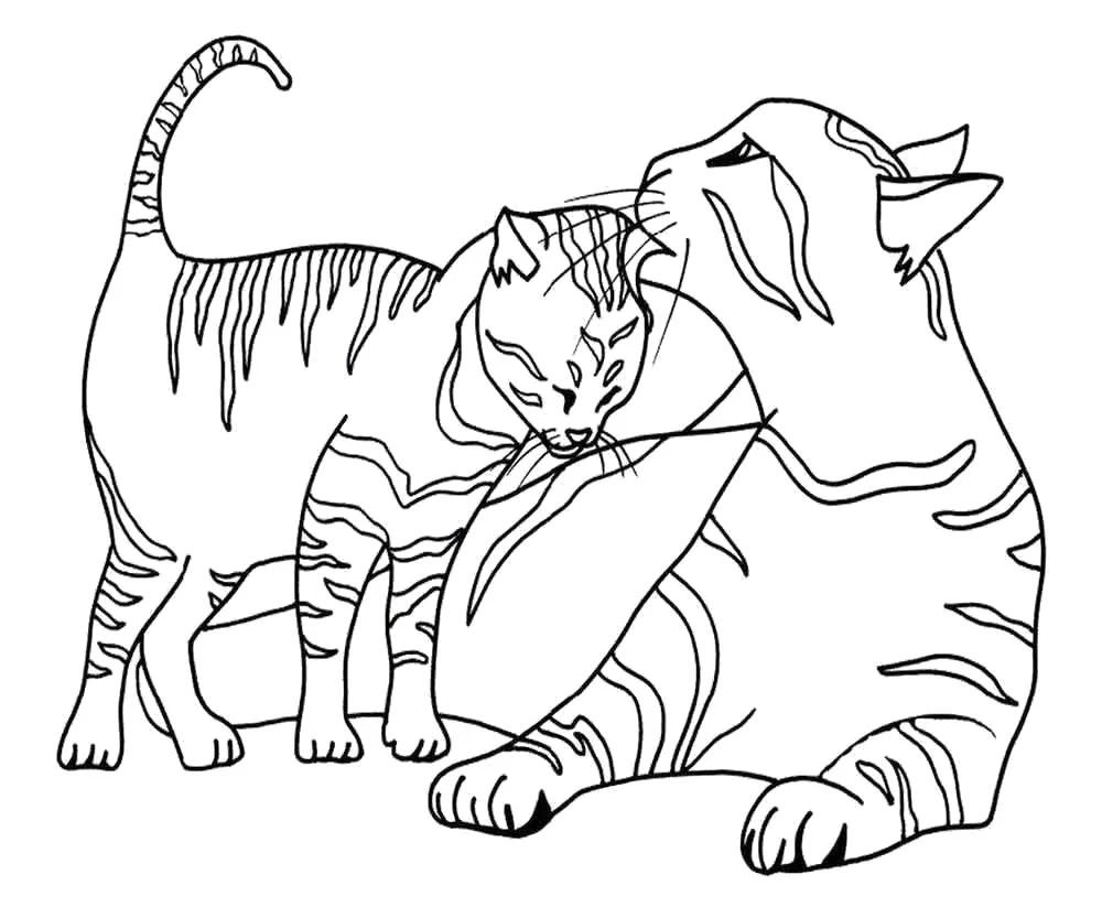 Cats. Colouring