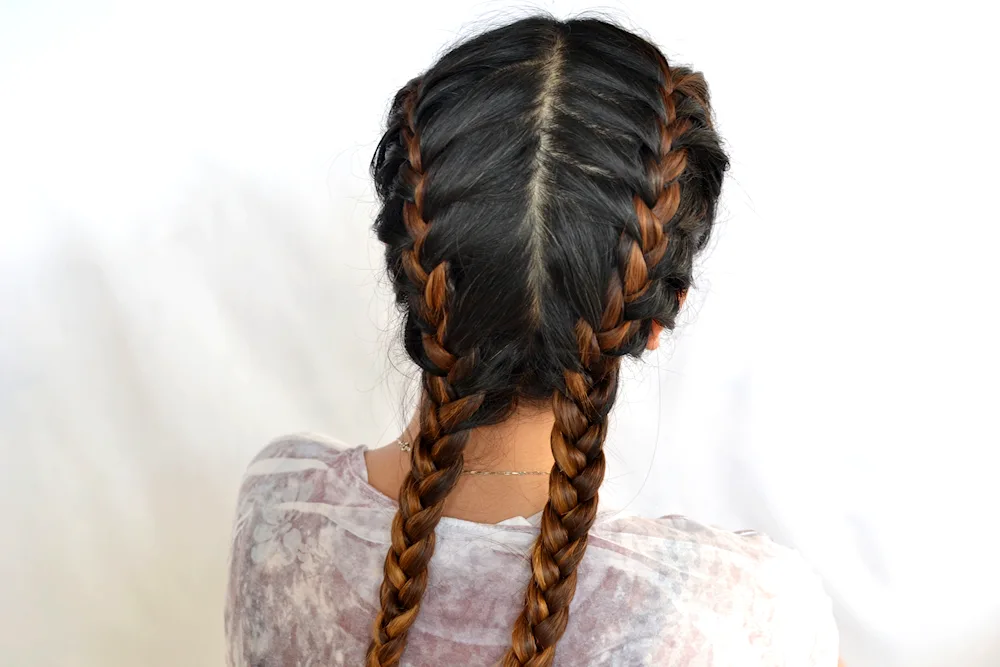 Dragon braids