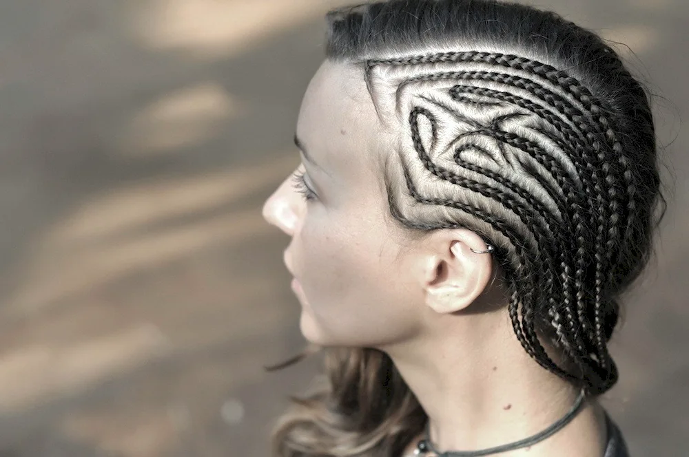 Braid braids on the temples