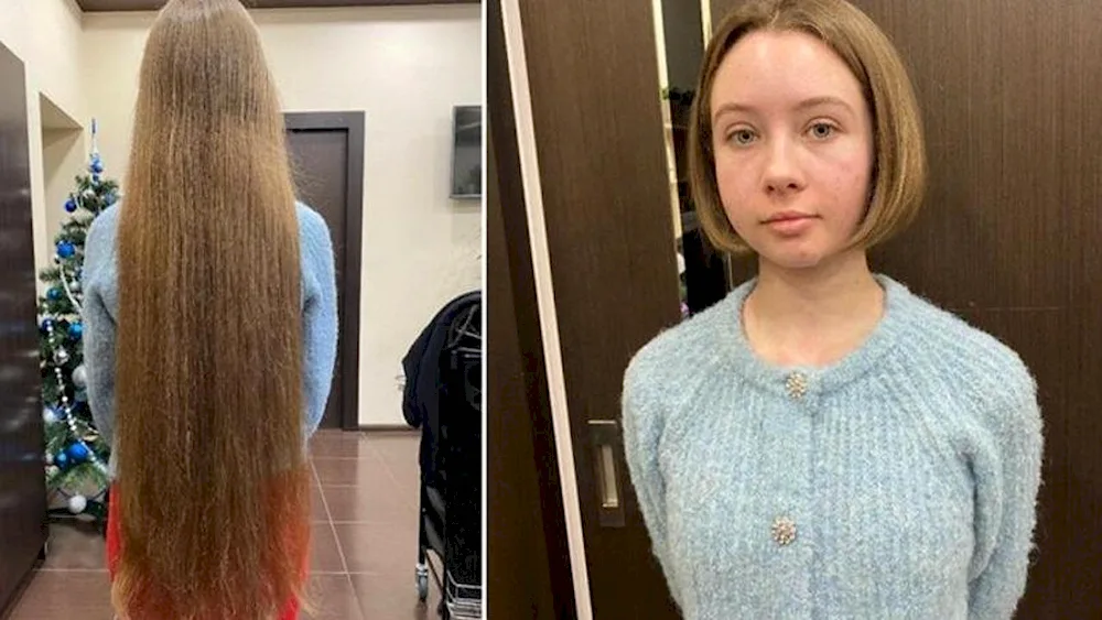 Braid cutting hairstyle