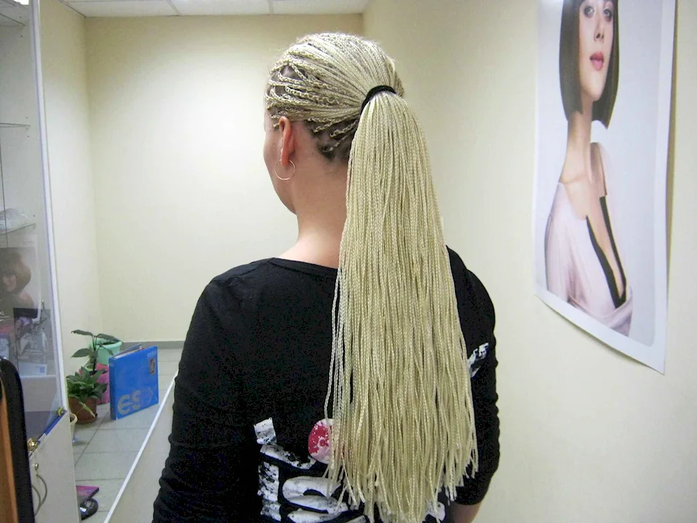 Zizi braids with canekalon ponytail