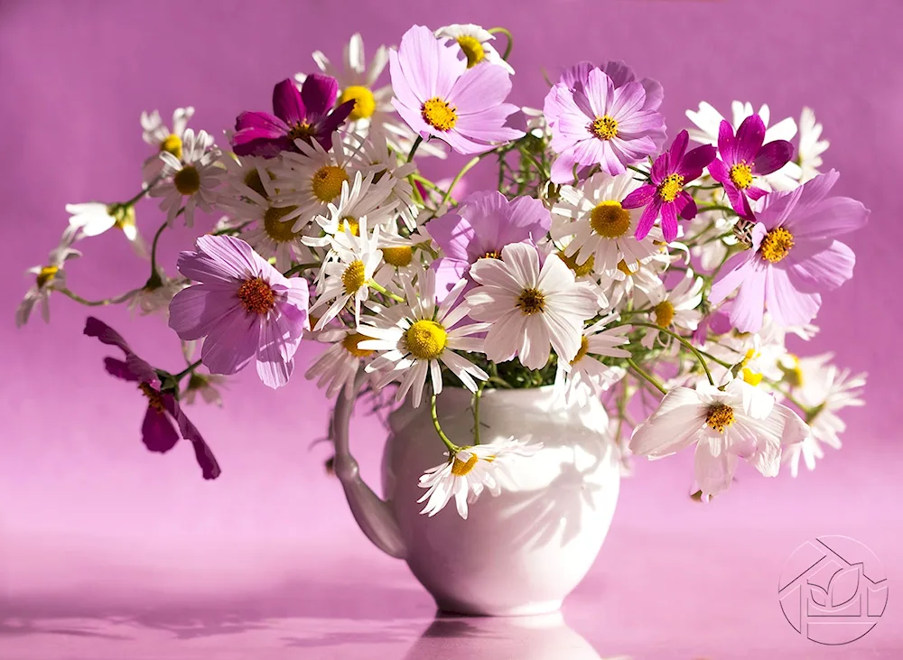 Field flowers