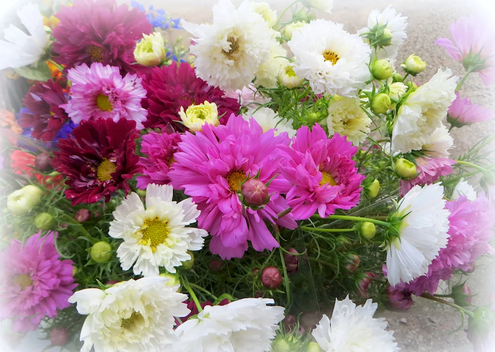 Bouquet of field cornflowers daisies