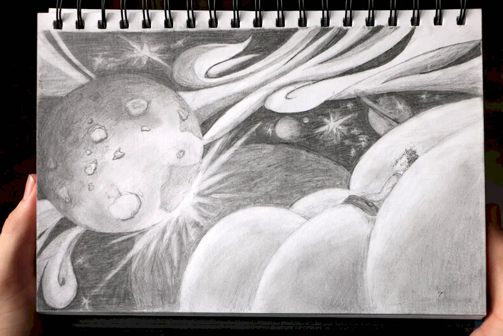 Cosmos drawing in pencil