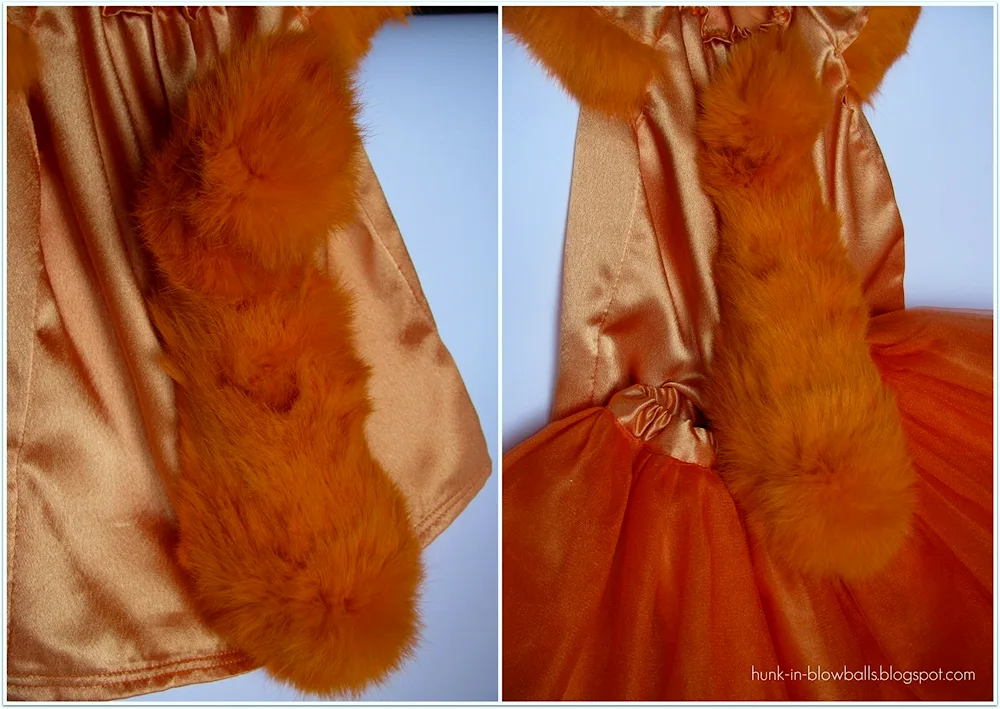 Squirrel costume