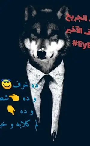 Wolf costume